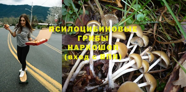 амф Арсеньев