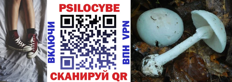 Псилоцибиновые грибы GOLDEN TEACHER  shop наркотические препараты  Чистополь 