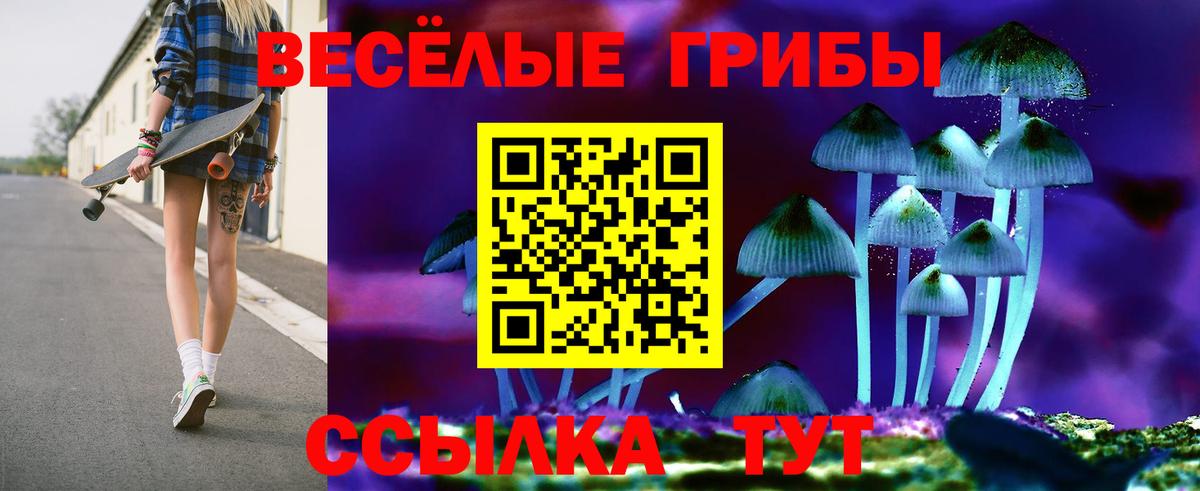 сколько стоит  Вход с VPN  Чистополь  Псилоцибиновые грибы мицелий 